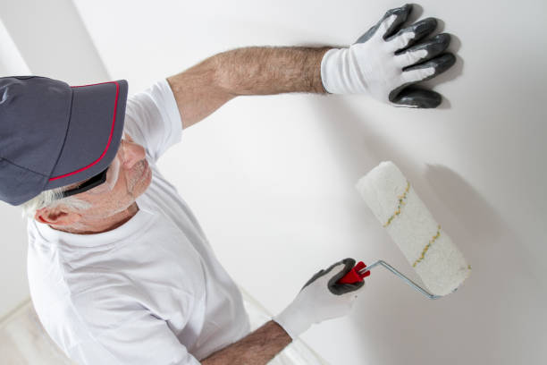 Best Mold-Related Health Consultation  in Toronto, OH