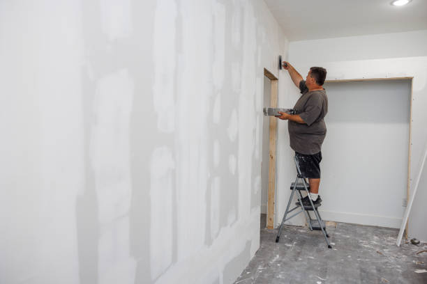 Best Mold Damage Restoration  in Toronto, OH