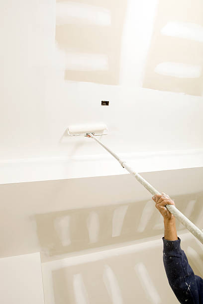 Best Mold Odor Removal Services  in Toronto, OH