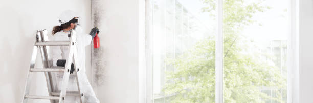 Best Forensic Mold Investigation  in Toronto, OH