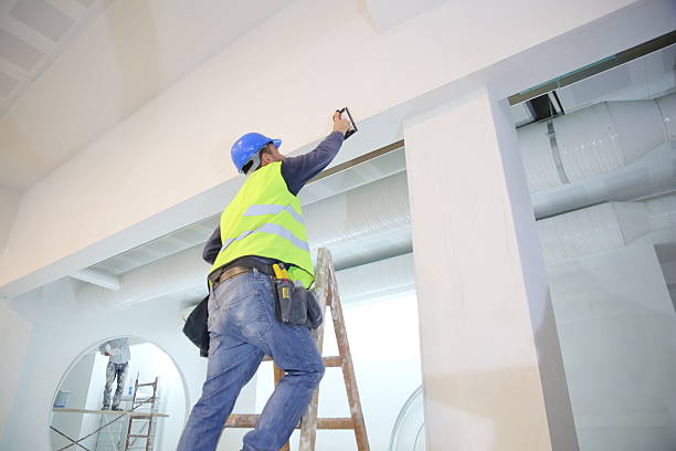 Best Real Estate Mold Inspection  in Toronto, OH