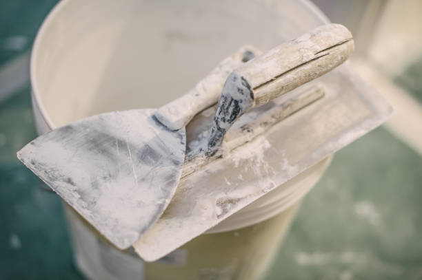 Reliable Toronto, OH Mold Removal Solutions